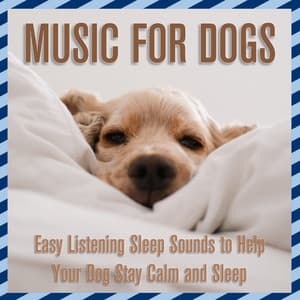 Music for Dogs: Easy Listening Sleep Sounds to Help Your Dog Stay Calm and Sleep - Dog Music