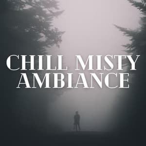 Chill Misty Ambiance - Nature on Record