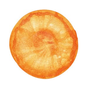 宇宙 ベスト・オブ・フィッシュマンズ - Fishmans