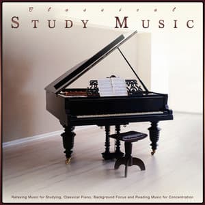 Classical Study Music: Relaxing Music for Studying, Classical Piano, Background Focus and Reading Music for Concentration - Classical Study Music