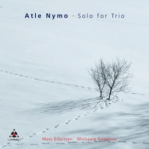 Solo for Trio - Atle Nymo