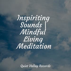 Inspiriting Sounds | Mindful Living Meditation - Nature Sounds Artists