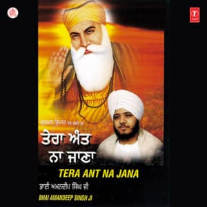 Tera Ant Na Jana Vol-13 - Bhai Amandeep Singh Ji