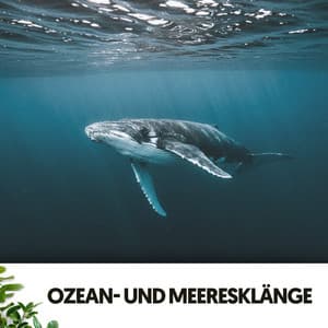 Ozean- und Meeresklänge: Tiefblaue Harmonie - Ruido Blanco Hart