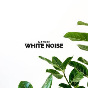 Nature White Noise - Nature Sounds Nature Music