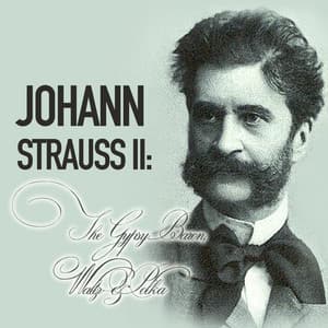 Johann Strauss II: The Gypsy Baron, Waltz & Polka - Munich Philharmonic Orchestra
