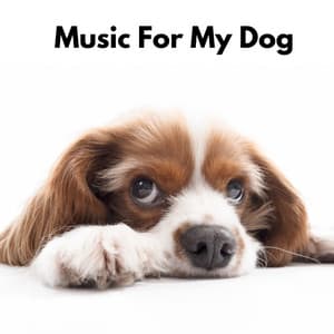 Music for My Dog - The Dog Relaxer