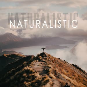 Naturalistic: Soothing Meditation Ambient Music with Nature Sounds - Soothing Music Collection