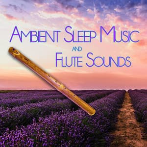 Ambient Sleep Music and Flute Sounds - Flute Music Meditation DEA Channel
