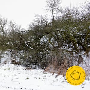 Rachmaninoff 150 - Sergei Rachmaninoff