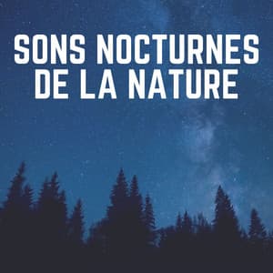 Sons Nocturnes de La Nature - Sons de la nature