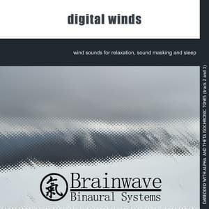 Digital Winds - Brainwave Binaural Systems