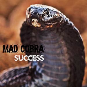 Success - Mad Cobra