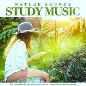 Nature Sounds Study Music: Bird Sounds and Calm Music For Studying, Music For Concentration and Music For Reading - Study Music & Sounds