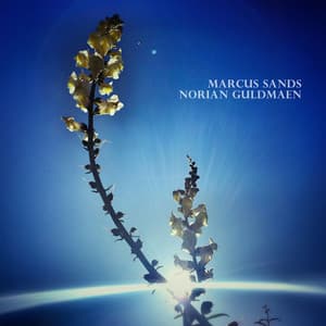 Bloom of the Kundalini - Norian Guldmaen