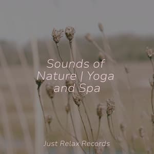 Sounds of Nature | Yoga and Spa - Yoga Namaste