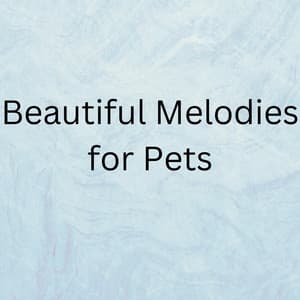 Beautiful Melodies for Pets - Sleeping Music For Dogs