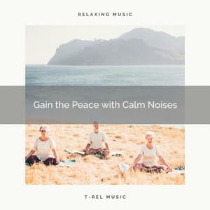 Gain the Peace with Calm Noises - Inner Peace Channel