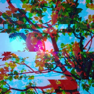 Distinguished Lo-fi - Background for Private Monday - Relaxing Lo Fi