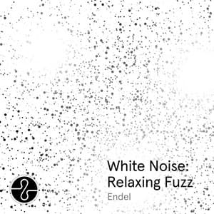 White Noise: Relaxing Fuzz - Endel