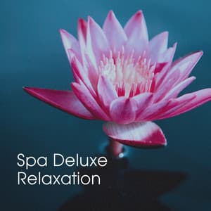 Spa Deluxe Relaxation - Oasis de Détente et Relaxation