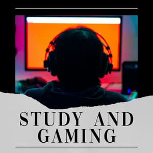 Study and Gaming - Lofi Quality Content