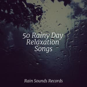 50 Rainy Day Relaxation Songs - Relaxing Mindfulness Meditation Relaxation Maestro