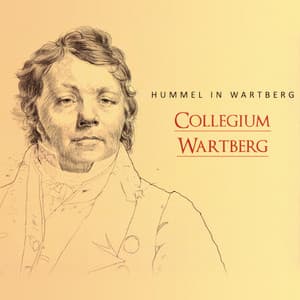 Hummel in Wartberg - Johann Nepomuk Hummel