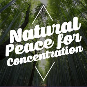 Natural Peace for Concentration - Exam Study Nature Music Nature Sounds