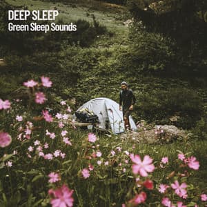 Deep Sleep: Green Sleep Sounds - Music for Sleep