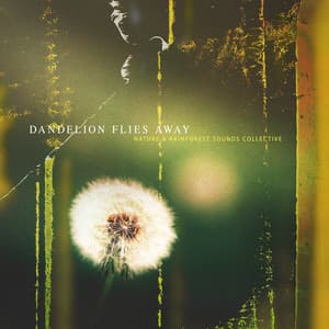 Dandelion Flies Away - Nature & Rainforest Sounds Collective