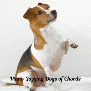 Piano Jazzing Dogs of Chords - Piano Music