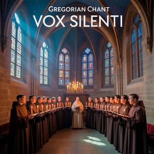 Gregorian Chant Vox Silenti - Chœur des Moines de l'Abbaye Saint-Pierre de Solesmes