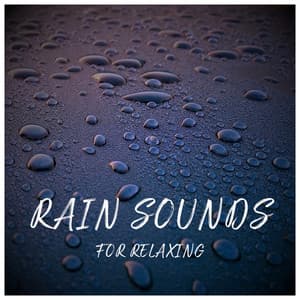 Rain Sounds for Relaxing - Rain Sounds