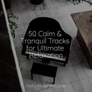 50 Calm & Tranquil Tracks for Ultimate Relaxation - Ivory Mood