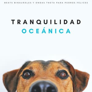 Tranquilidad Oceánica: Beats Binaurales Y Ondas Theta Para Perros Felices - Grabaciones de ritmos binaurales
