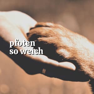 Pfoten So Weich - Hundemusik