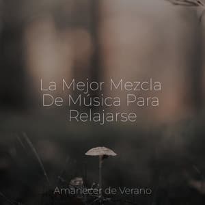 La Mejor Mezcla De Música Para Relajarse - Musica para Bebes