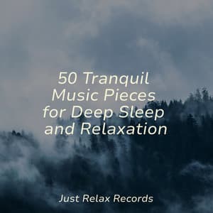 50 Tranquil Music Pieces for Deep Sleep and Relaxation - Dormir