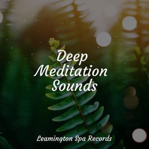 Deep Meditation Sounds - Tranquil Music Sound of Nature