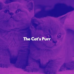 The Cat's Purr - Cat Music Zone