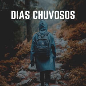 Dias Chuvosos - Sons da natureza HD