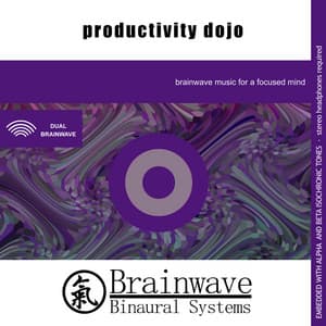 Productivity Dojo - Brainwave Binaural Systems