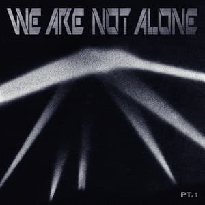 Ellen Allien Presents We Are Not Alone, Pt. 1 - Ellen Allien