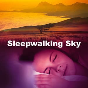 Sleepwalking Sky - Sleep Music