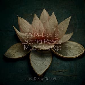 50 Relaxing Lasting Peace Music Songs - Música Relajante para Bebés
