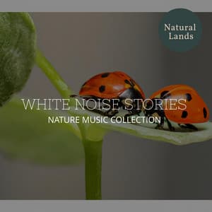 White Noise Stories - Nature Music Collection - Sleepy Times