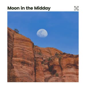 Moon in the Midday - Cricket Sounds