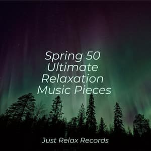 Spring 50 Ultimate Relaxation Music Pieces - Mantra para Dormir