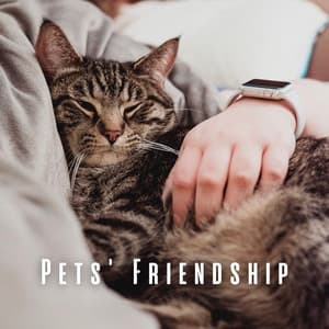 Pets' Friendship: Ambient Music Harmony - Hyperion Towers